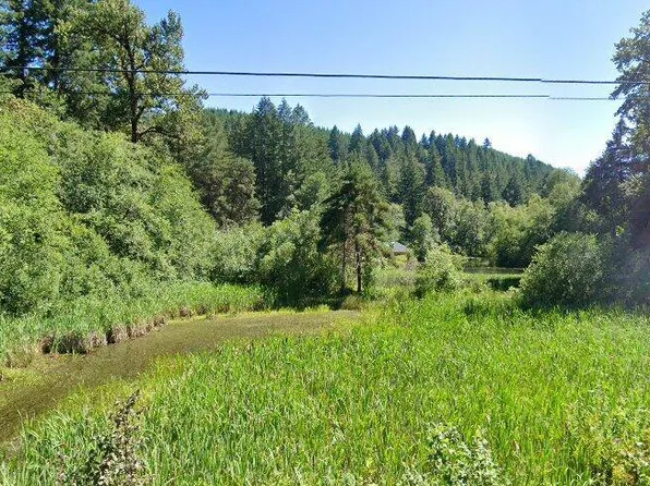 91703 Poodle Creek Rd, Noti, OR 97461