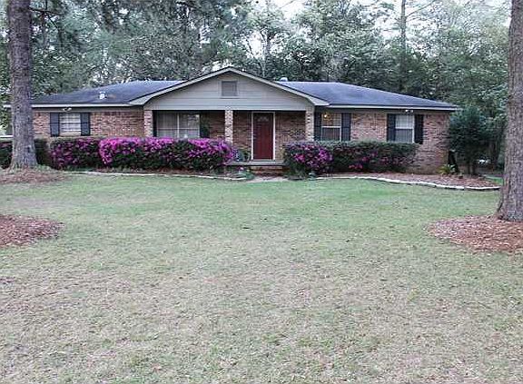 Picture with azaleas in bloom