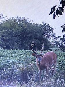 0 NW Camden Rd, Maysville, MO, 64469