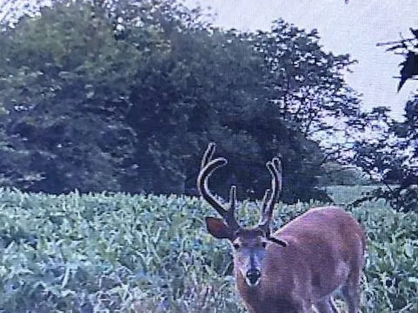 0 NW Camden Rd, Maysville, MO 64469