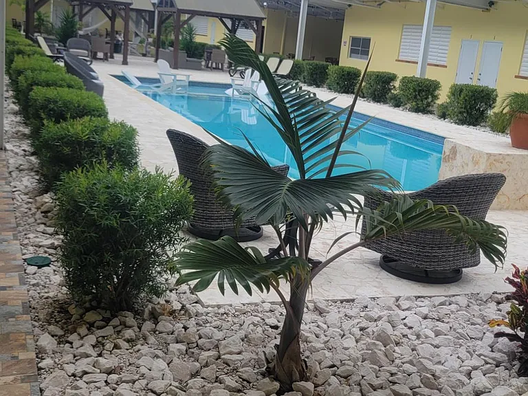 405 Hacienda La Salle #5 — Photo 17