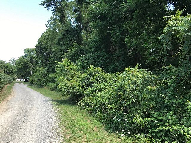 2nd image of 0 Punchbowl Ln