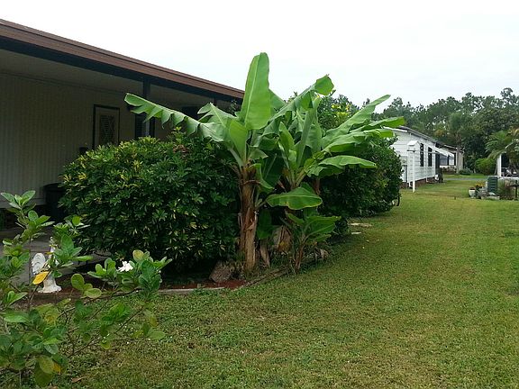 Nicely Landscaped