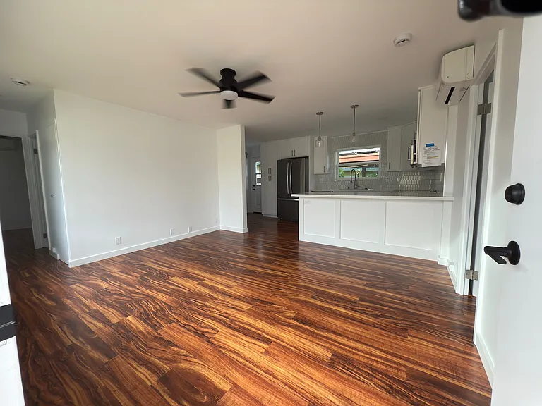 Entrance / Living room and Kitchen
