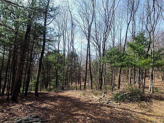 2nd image of 287 Dennis Dr #825