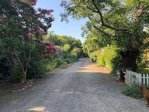 Looking down the driveway