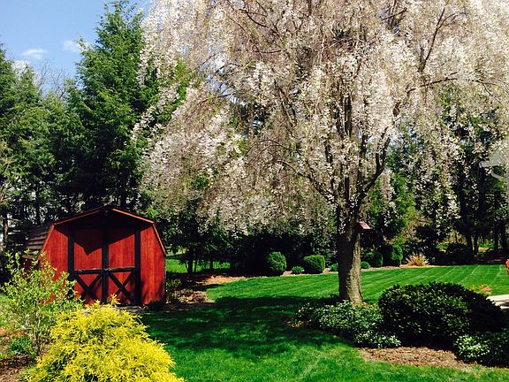 Utility Shed / Side Yard 