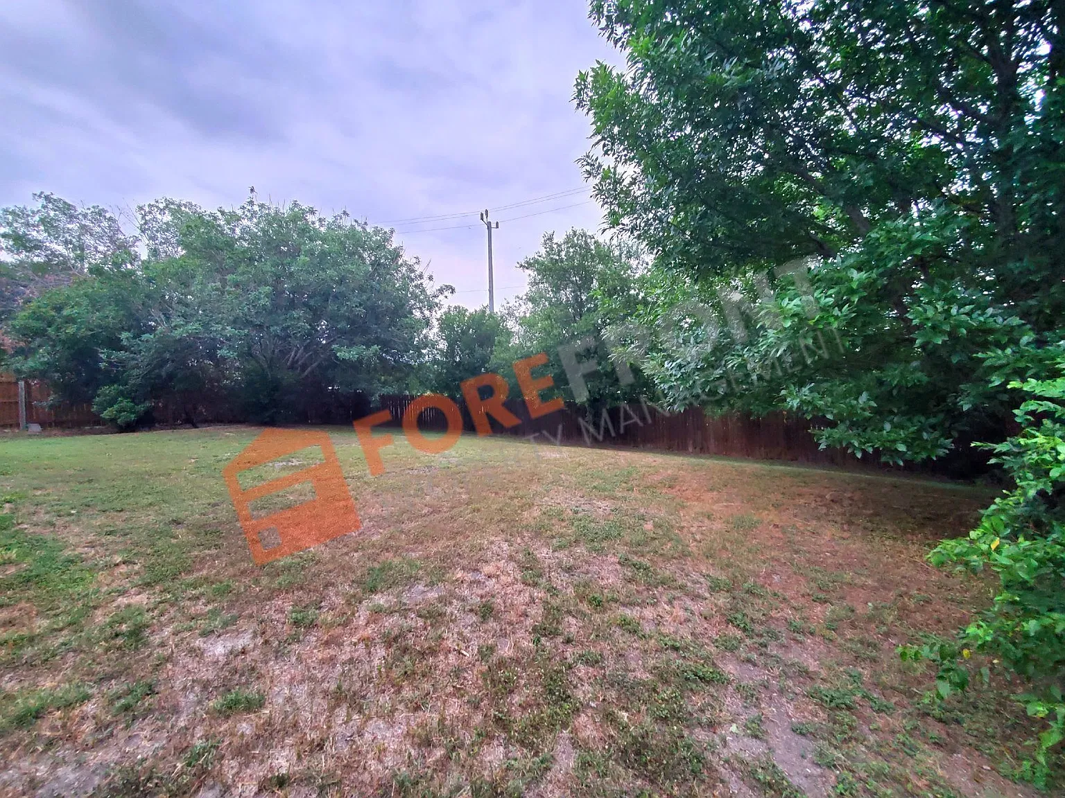 602 Leopard Hollow — Photo 4