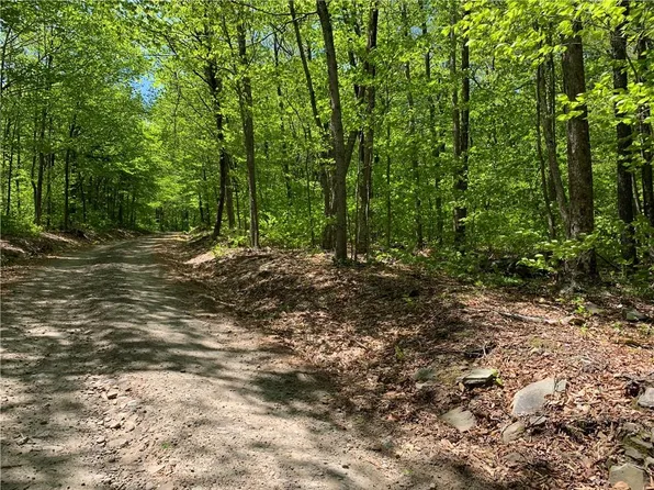 Bethlehem Road, Callicoon Center, NY 12724