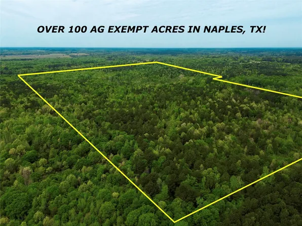 County Road 2742, Naples, TX 75568