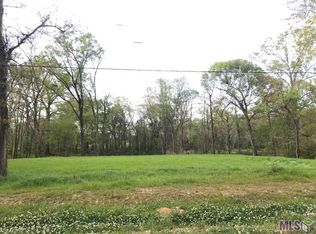 18677 Blythe Rd, Prairieville, LA 70769