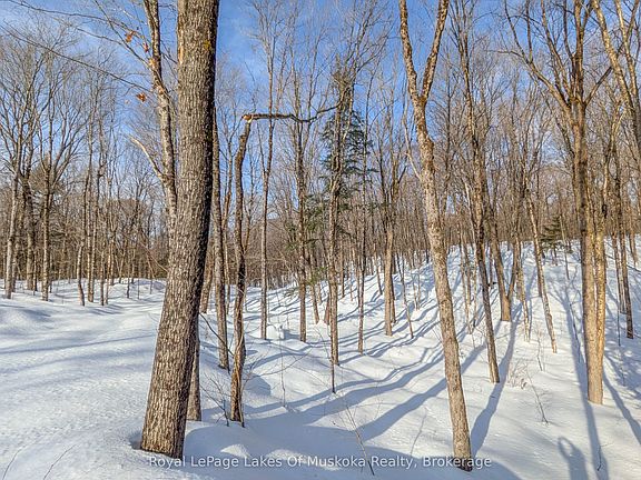 3rd image of 1100 Raymond Rd