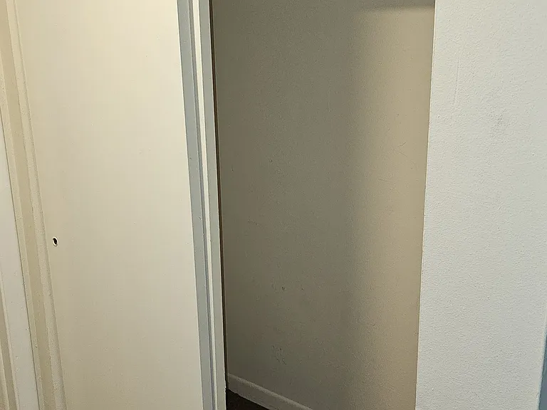 2nd of two closets in the Back Bedroom