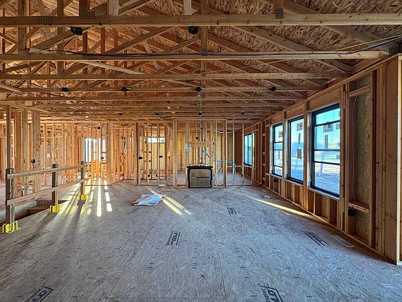 Progress Photos from 10 2025