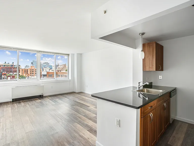 229 Chrystie St #808B — Photo 4