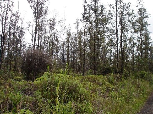 2nd image of Road 4