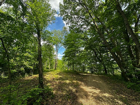 3rd image of S Norris Rd