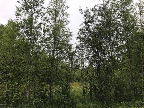 4th image of 2125 E Black Bear Dr