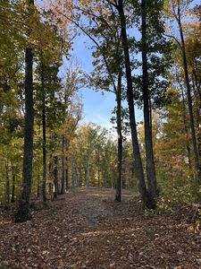 0 Foggy Mountain Ln LOT 3-4, Bradyville, TN, 37026