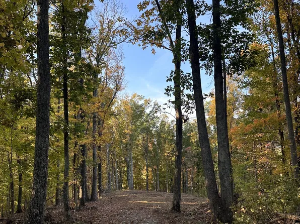 0 Foggy Mountain Ln Lot 3-4, Bradyville, TN 37026