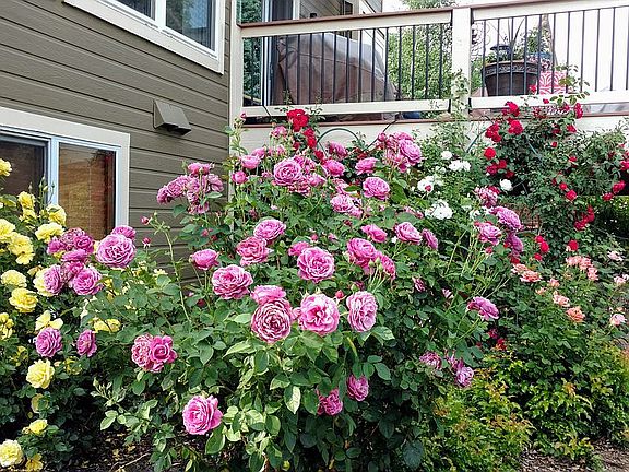 5th image of 15632 W 72nd Cir