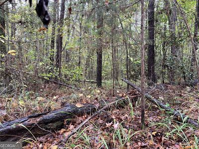 266 Clinton Crossing Dr, Gray, GA, 31032