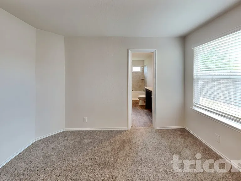15406 Shortwing — Photo 6