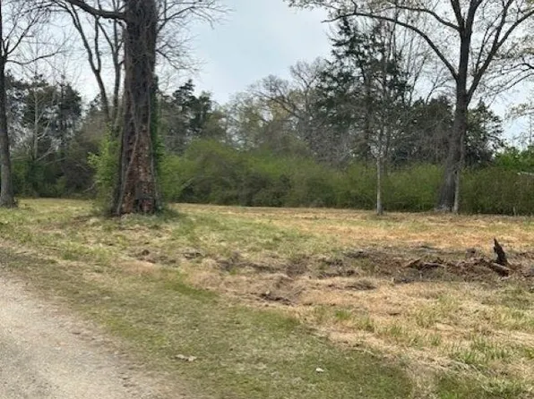 0 Frances Cv, Mountain View, AR 72560