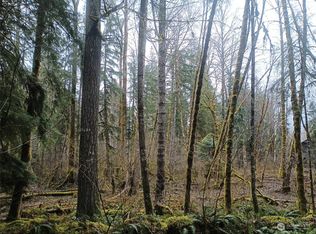 0 Craig Rd, Packwood, WA 98361