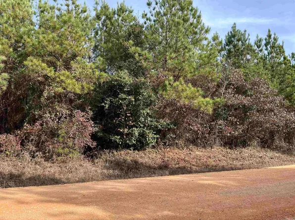 TRACT 2 Grant #28, Grapevine, AR 72057