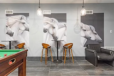 Rented by MySpaceNYC