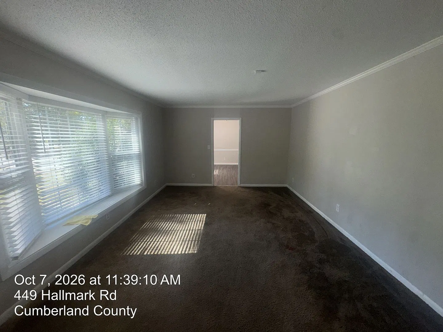 449 Hallmark Road — Photo 4