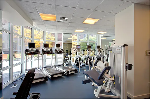 Rented by Douglas Elliman | media 14