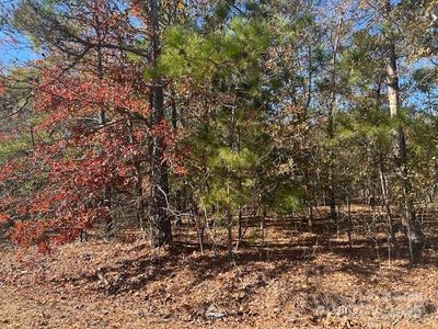 1060 Neds Creek Rd, Kershaw, SC, 29067