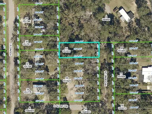 Imogene Ln, Brooksville, FL 34601