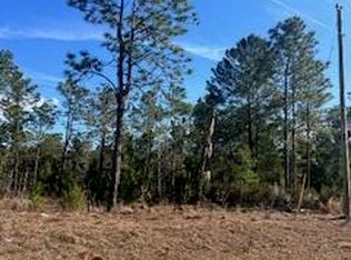 204 Flamingo Dr, Interlachen, FL 32148