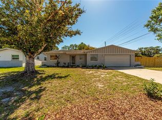 302 Scott Ct, Palm Harbor, FL 34684