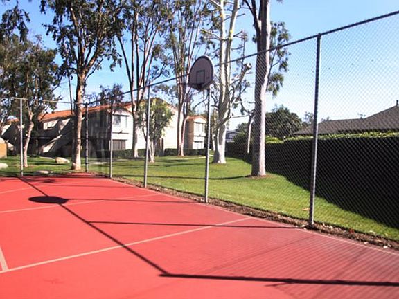 Basketball court