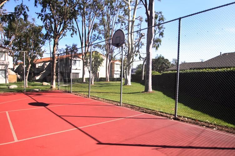 Basketball court
