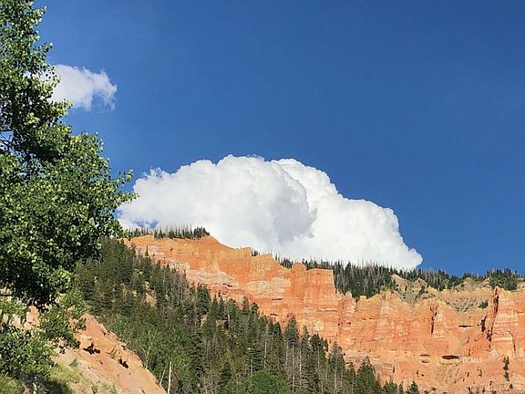 3rd image of 5650 W Mountain Lion Dr #3
