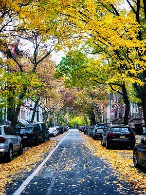 Rented by Owner | media 5