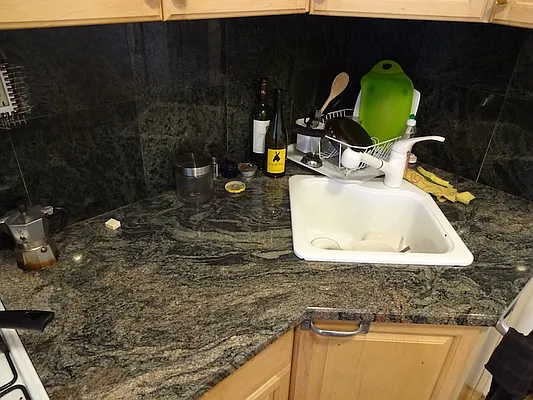 Rented by Authentic Realty | media 17