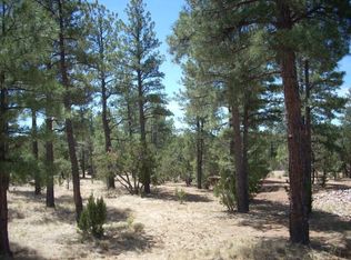 2755 Chandelle Ln, Overgaard, AZ 85933