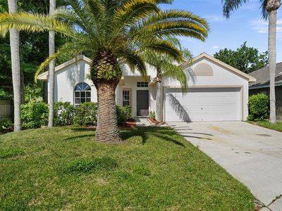 4502 Wild Plum Ln, Lutz, FL, 33558