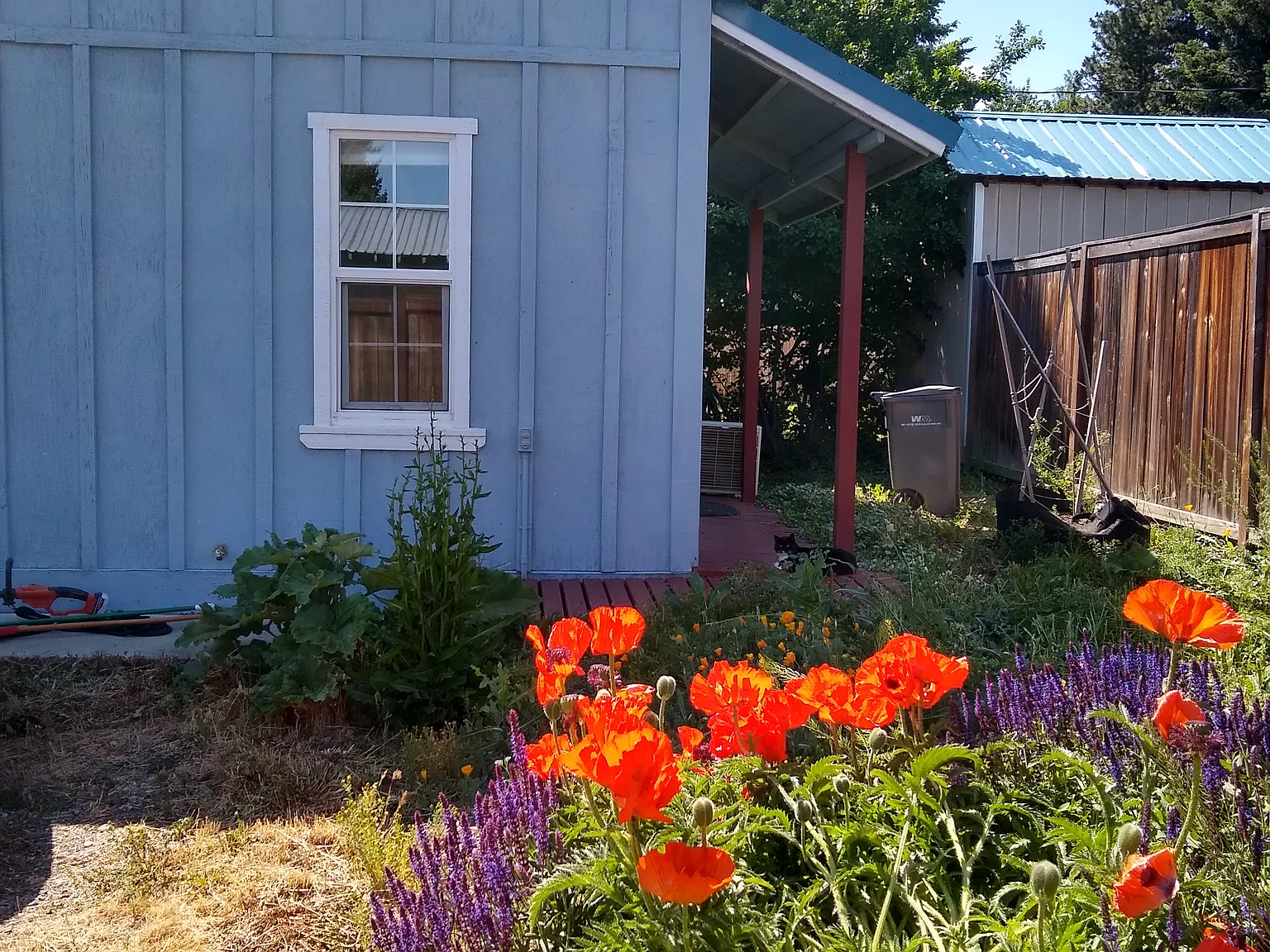 1 bed, 480 sqft, $1,000 — Photo 2