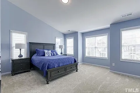 1232 Brown Velvet Ln — Photo 16