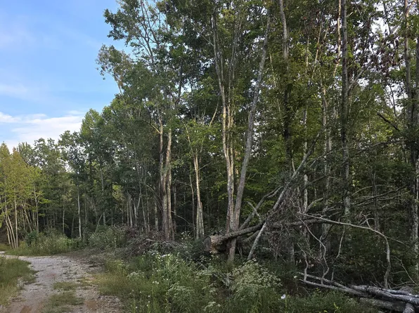 LOT 10 Mill Creek Rd, Sunbright, TN 37872