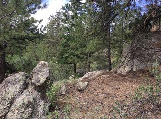 953 Impala Trail, Bailey, CO 80421