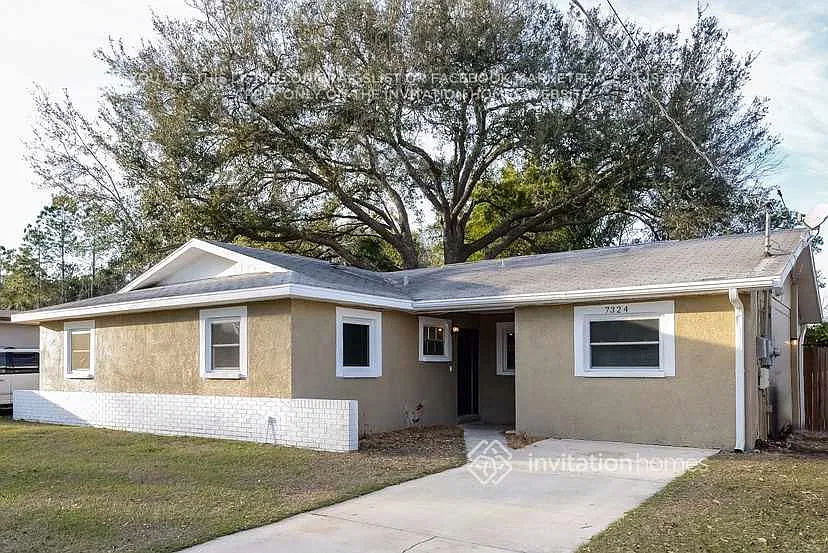 7324 Sequoia Dr Tampa, FL 33637 — Photo 3