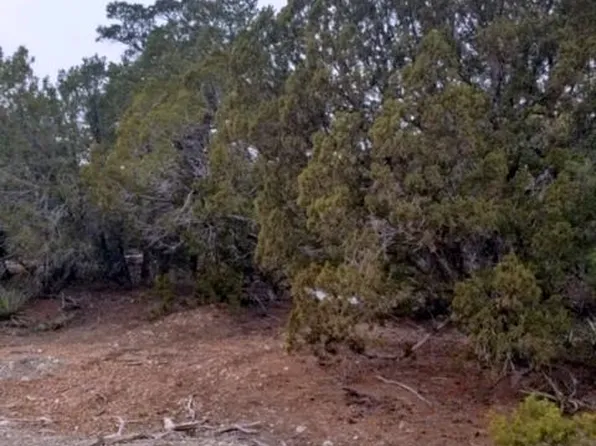 11 Bridal Ln, Tijeras, NM 87059